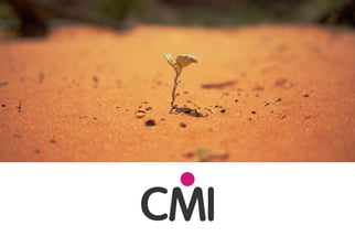 CMI: “Success Always Starts with Failure”: Five Techniques for Prospering with Uncertainty