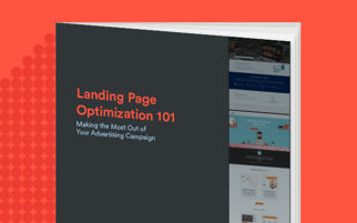 Landing Page Optimization 101